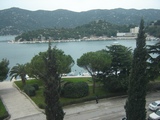 Pogled